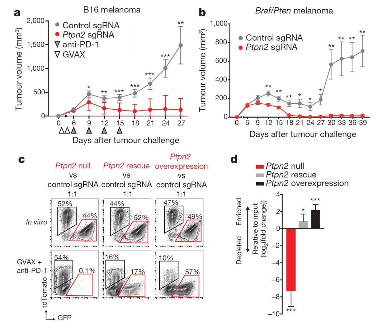 Ptpn2基因敲除使肿瘤细胞对免疫治疗更加敏感