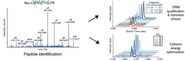 iTRAQ技术，LC-MS/MS技术