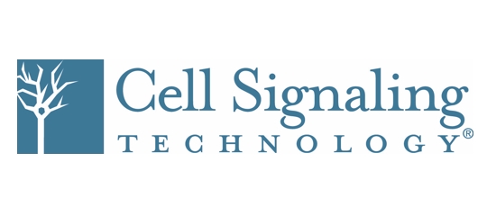 Cell Signaling Technology（CST）