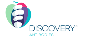 Discoveryantibodies